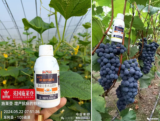 娌冲崡鏂借幈鐧荤敓鐗╂妧鏈湁闄愬叕鍙?.jpg 娌冲崡鏂借幈鐧荤敓鐗╂妧鏈湁闄愬叕鍙?.jpg